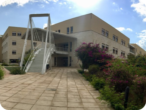 overview